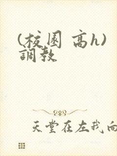 (校园 高h)调教