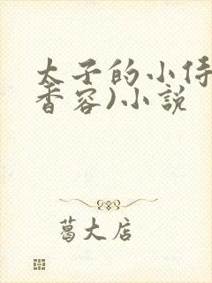 太子的小侍妾(香容)小说