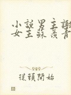 小说男主谢书辞女主苏羡青