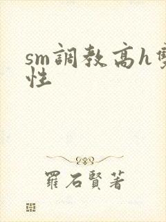 sm调教高h双性