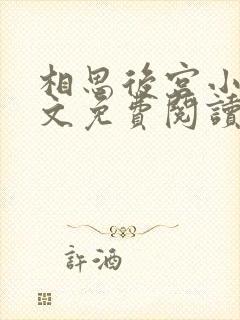 相思后宫小说全文免费阅读