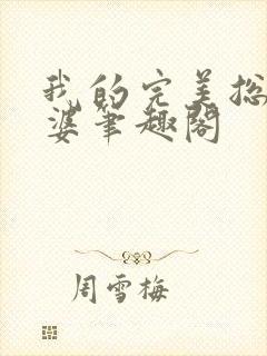 我的完美总裁老婆笔趣阁