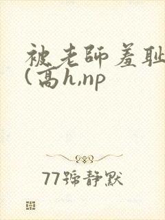 被老师羞耻调教(高h,np