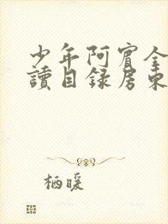 少年阿宾全文阅读目录房东