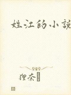 姓江的小说女主