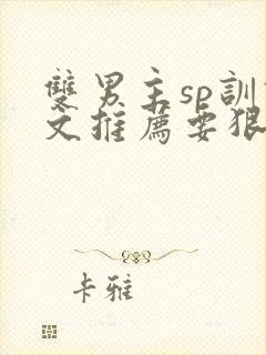 双男主sp训诫文推荐要狠的