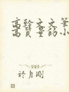 高干文文笔好的高质量的小说现代言情封面