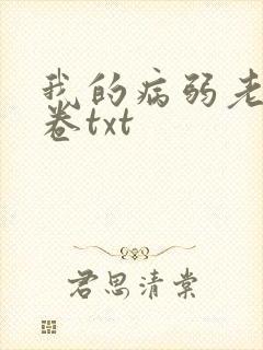我的病弱老婆花卷txt