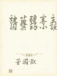 被苗疆寨主抓住囚禁的小说女主