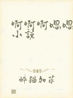 啊啊啊嗯嗯嗯h小说