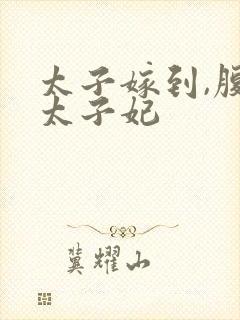 太子嫁到,腹黑太子妃封面