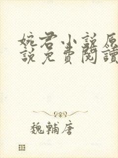 婉君小说原著小说免费阅读