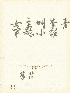 女主叫李青青的穿越小说