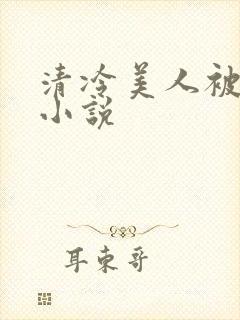 清冷美人被爆操小说封面