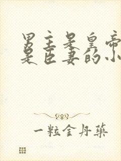 男主是皇帝女主是臣妻的小说