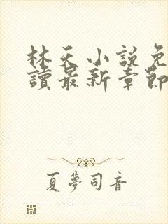 林天小说免费阅读最新章节