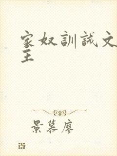 家奴训诫文双男主封面