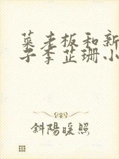 菜老板和新婚妻子李芷珊小说