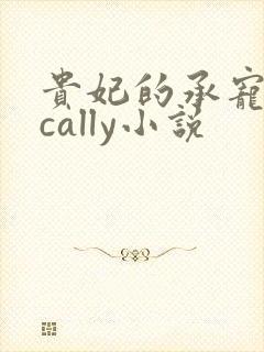 贵妃的承宠日常cally小说