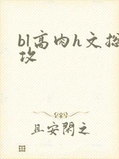 bl高肉h文总攻