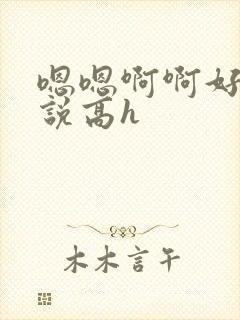 嗯嗯啊啊好爽小说高h