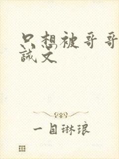 只想被哥哥罚训诫文