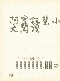 阿宾钰慧小说全文阅读