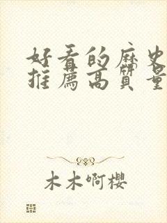 好看的历史小说推荐高质量封面