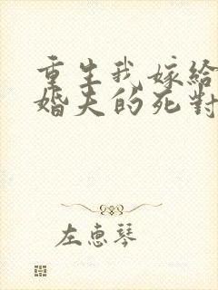 重生我嫁给了未婚夫的死对头封面