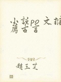 小说po 文推荐古言