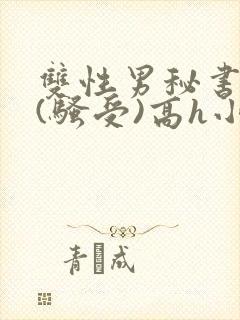 双性男秘书巨乳(骚受)高h小说封面