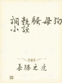 调教骚母狗sm小说