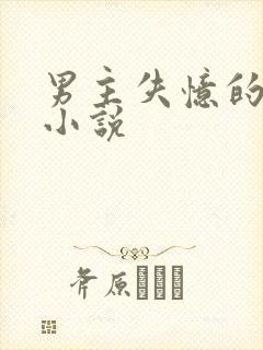 男主失忆的古言小说