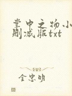 掌中之物小说未删减版txt