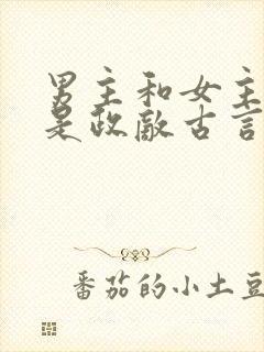 男主和女主父亲是政敌古言