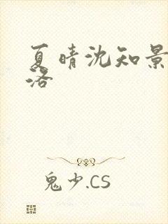 夏晴沈知景白洛洛