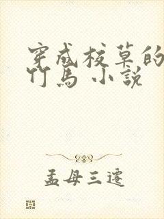 穿成校草的炮灰竹马 小说