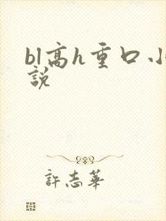 bl高h重口小说