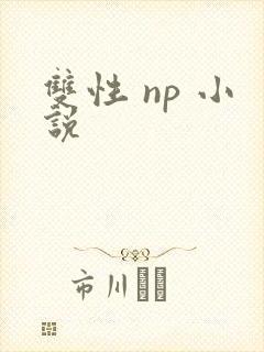 双性 np 小说
