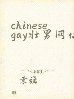 chinesegay壮男网站gvmanvideos