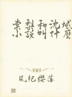 棠梨和沈域原著小说叫什么