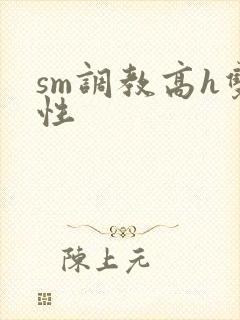 sm调教高h双性