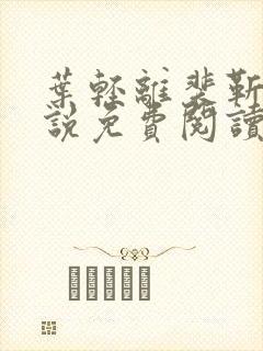 叶轻离裴靳墨小说免费阅读无弹窗