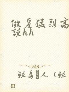 做爰猛烈高潮小说hh