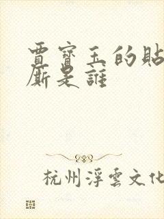 贾宝玉的贴身小厮是谁