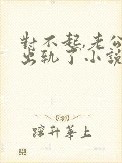 对不起,老公我出轨了小说