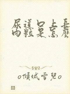 尿道口上长了小肉粒是怎么回事