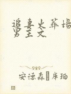 追妻火葬场的双男主文