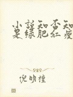 小说知否知否应是绿肥红瘦封面