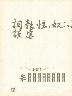 调教性,奴:小说虐